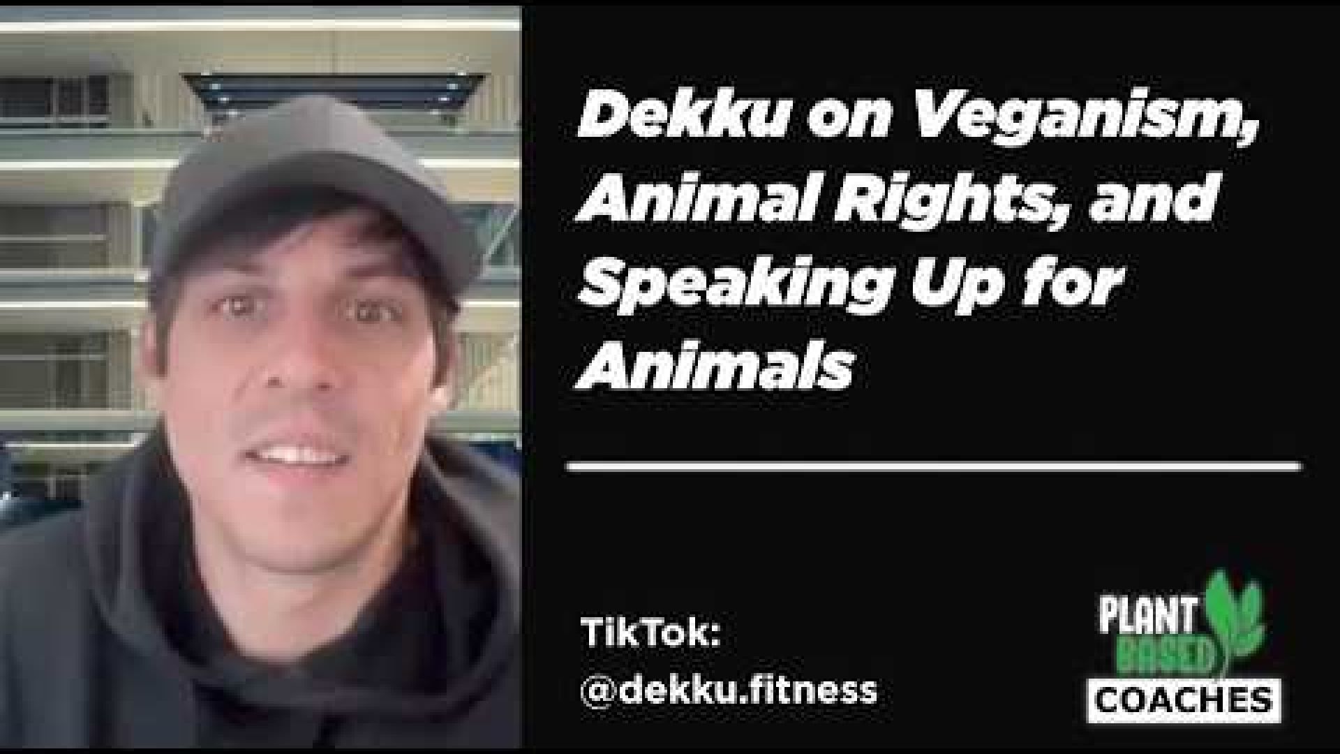 Dekku on Veganism, Animal Rights, and Speaking Up for Animals